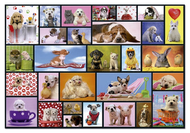 Puzzle Momentos compartidos - 1000 piezas Educa 15518